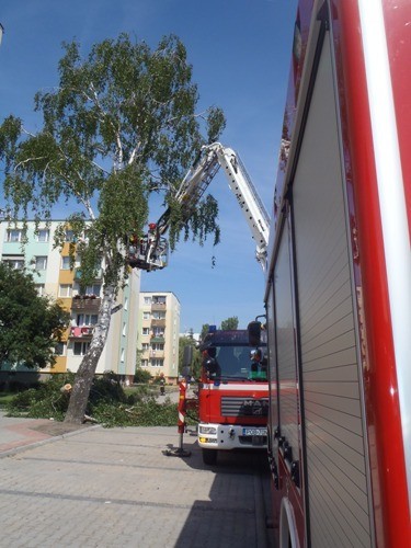 OBORNIKI: Strażacy usuwali nadłamane gałęzie [FOTO]