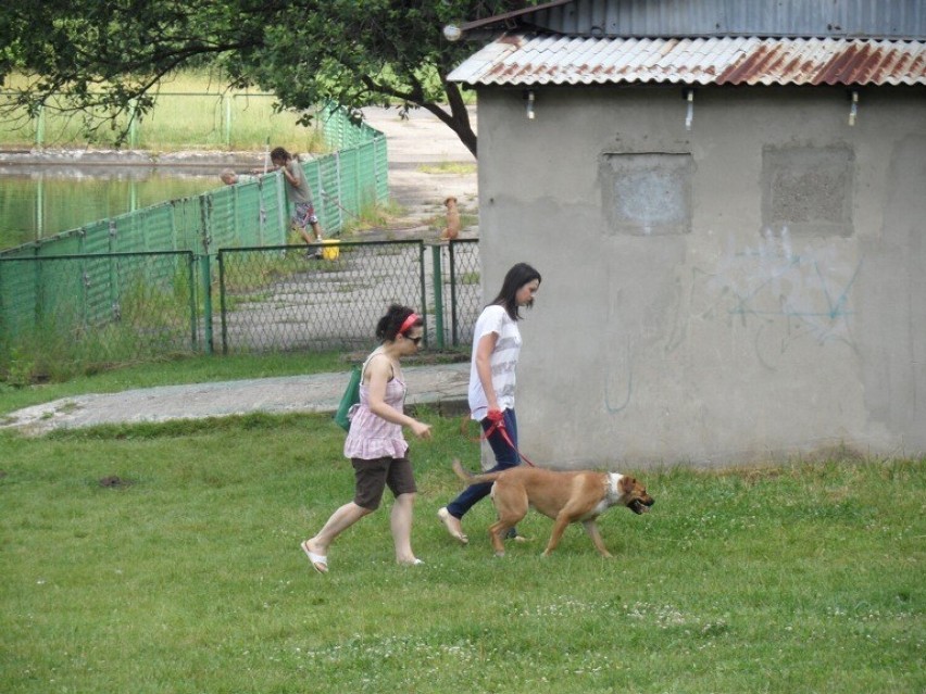 Park Lisieniec 10 lat temu