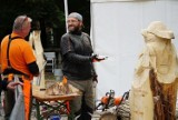Poznań Wood Festival 2022: Najlepsi artyści z całej Europy będą rzeźbić w drewnie. Sprawdź program imprezy