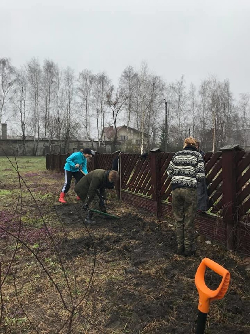 Z inicjatywy harcerzy z 40 RDW "Piorun" powstaje pierwsza w Radomsku łąka kwietna