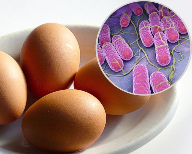 Jajka kurze należą do najczęstszych źródeł zakażeń bakteriami Salmonella.
