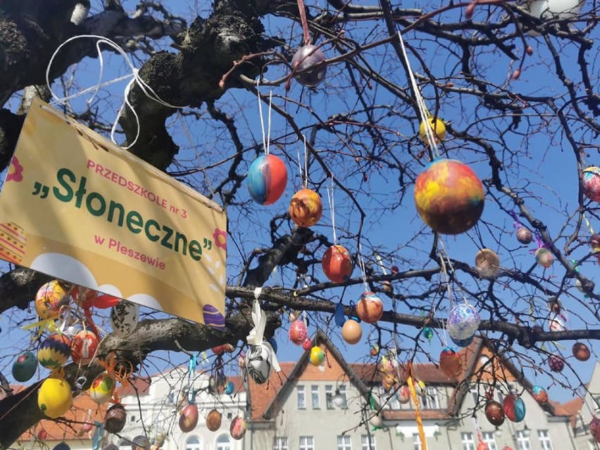 Pleszew. Na drzewach w rynku pojawiły się kolorowe jajka