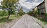 Przetarg na Ogród miejski „Lipy niepodległości” w Radomsku. Będzie łąka kwietna