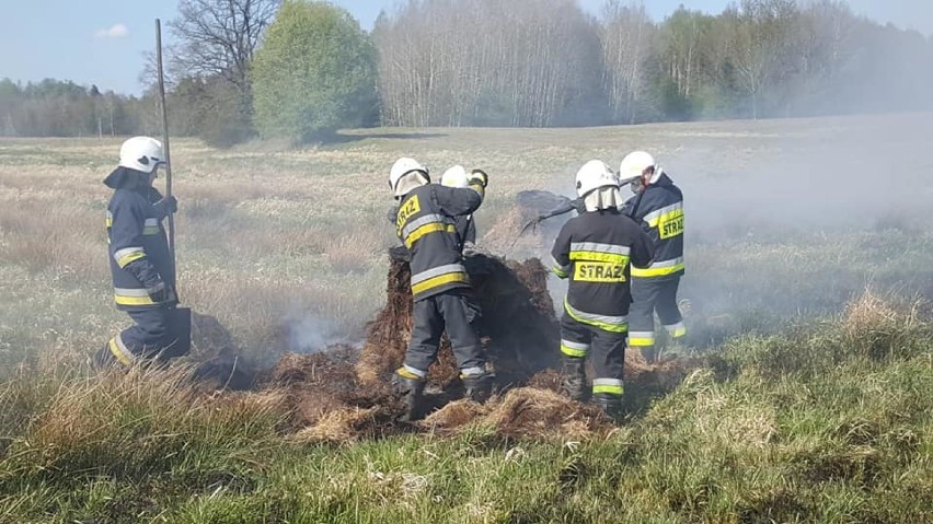 Akcje druhów w Barwic