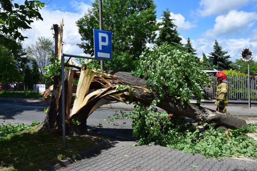 Wichura powaliła drzewo na ul. Reformackiej w Wieluniu FOTO