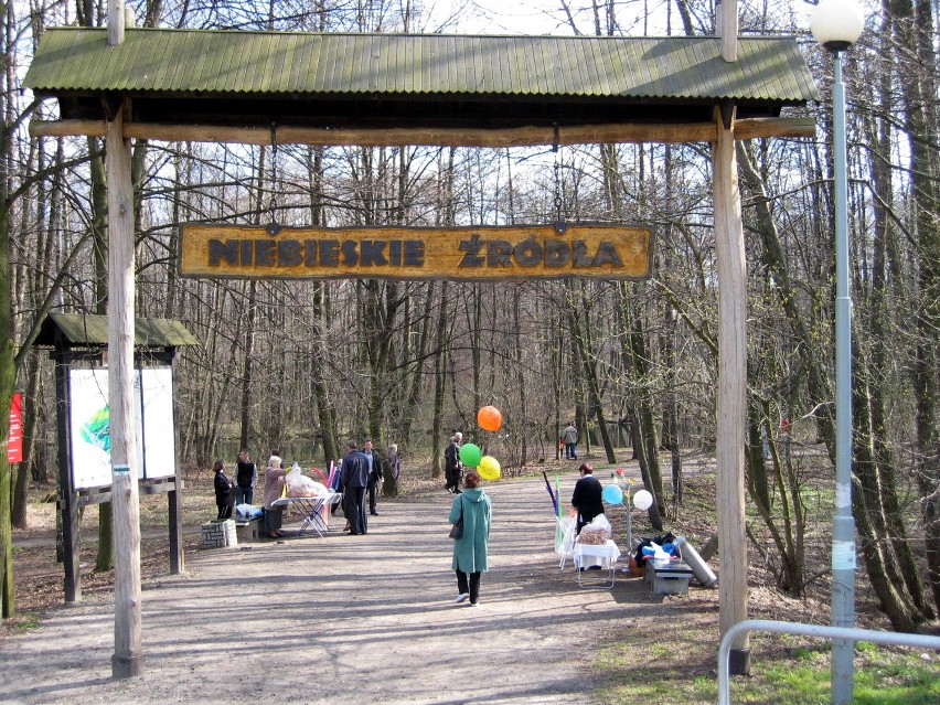 Pomysł na weekendowy spacer w Tomaszowie: Rezerwat Niebieskie Źródła koniecznie trzeba odwiedzić [ZDJĘCIA]