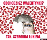 Walentynki 2019 MEMY. Śmieszne obrazki na Walentynki. Zobacz najlepsze!