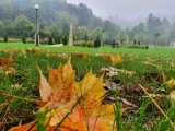 Muszyna w jesiennej odsłonie. Są złote liście, poranne mgły i ośnieżone Tatry 