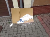 Wolsztyńskie ulice zaśmiecone plakatami wyborczymi [ZDJĘCIA]