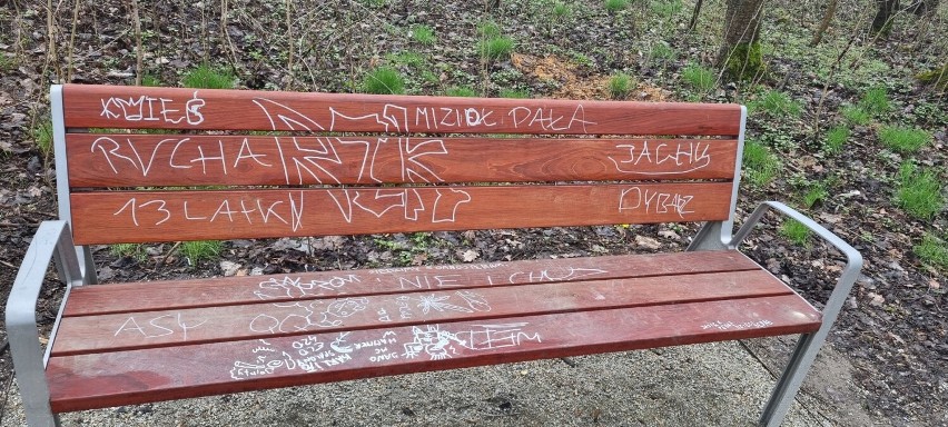 Ktoś pomazał ławki w Parku Dziekanka. Radny daje nagrodę za wskazanie "artysty"