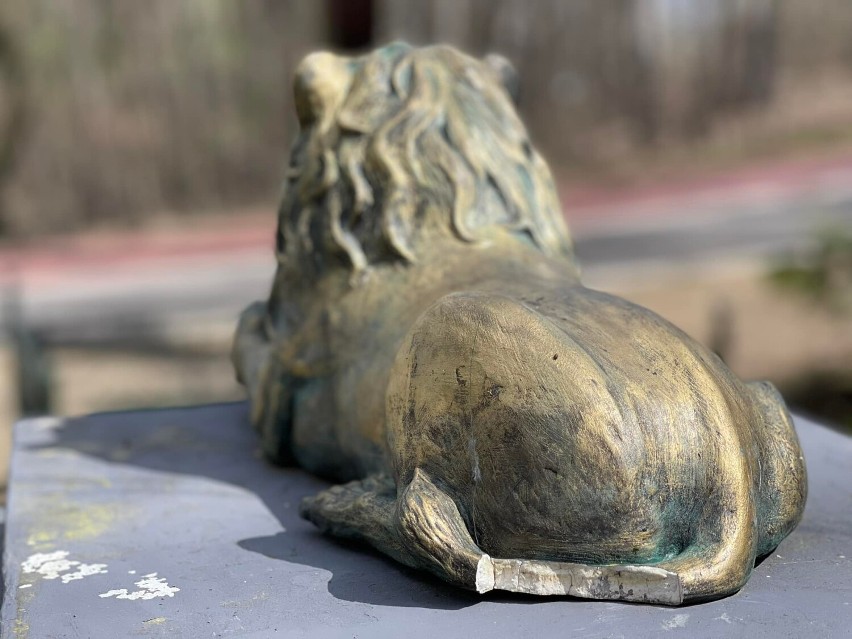 Ktoś zniszczył lwa, który znajduje się przy Promenadzie.