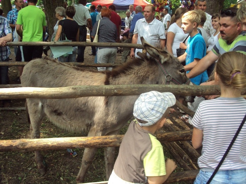 Targi Rolnicze w Kościelcu