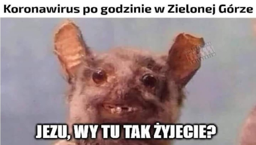 Zielona Góra z przymrużeniem oka. Tak internet śmieje się z Zielonej Góry i mieszkańców. Który mem najlepszy? 