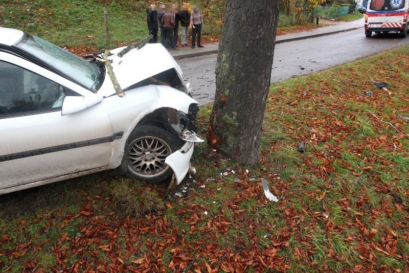 Opel vectra na łuku drogi w Sławsku uderzył w drzewo