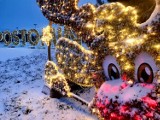 Piękne świąteczne iluminacje - Sławno, gm. Darłowo, gm. Postomino ZDJĘCIA - 2021 r.