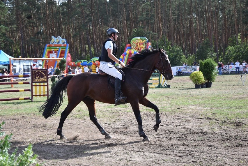 Gala Jeździecka w Dziembówku 2019: Grand Prix Kaczor w pięknym stylu wygrała Agata Dahlke (FOTO)  