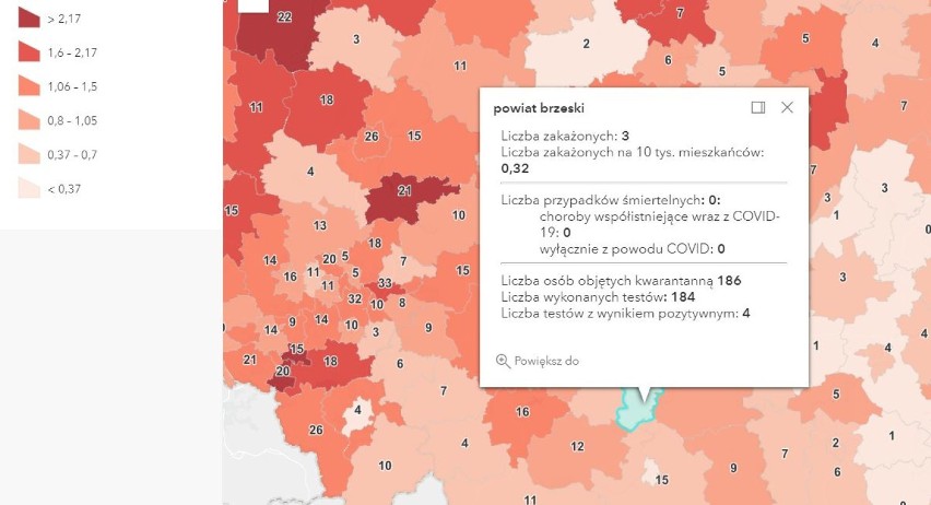 Koronawirus. Raport zakażeń SARS-CoV-2 w Tarnowie oraz powiatach: tarnowskim, dąbrowskim, brzeskim i bocheńskim [AKTUALIZACJA 9.05]