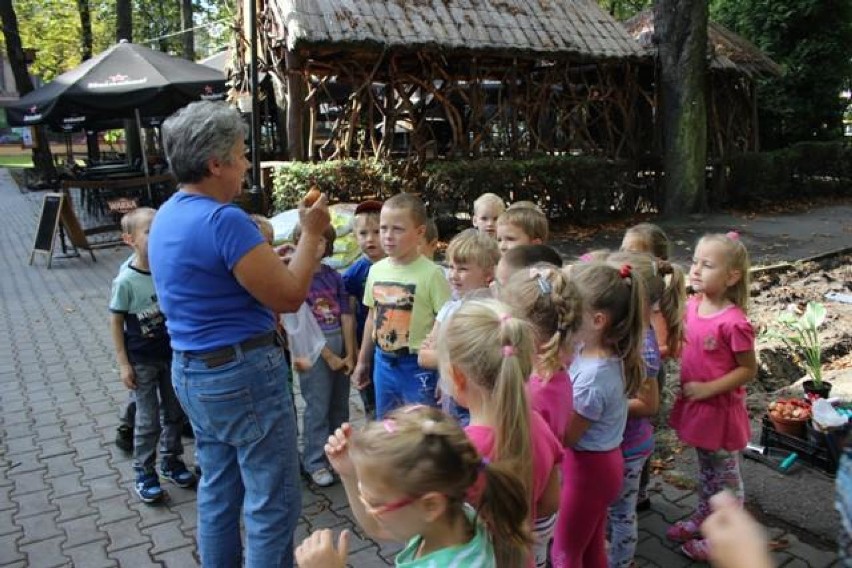 Na terenie Miejskiego Centrum Kultury powstała nowa rabatka