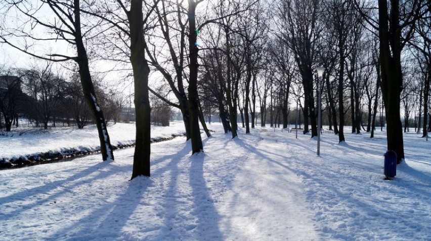 Zima 2019 w Kłobucku