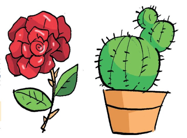 Zaczynamy plebiscyt Róża i Kaktus Roku 2015.