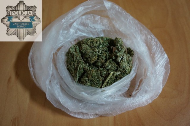Narkotyki w Jastrzębiu: 25-latek miał marihuanę