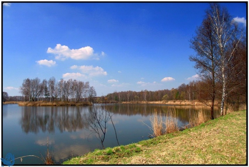 Wśród trzech zadań zgłoszonych do następnej edycji OSPR...