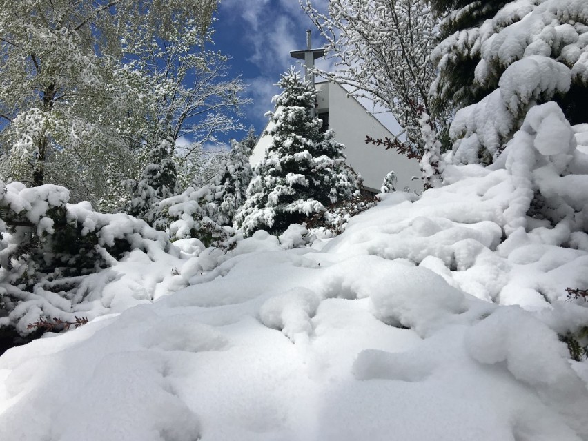 W Beskidach sypnęło śniegiem. Bajkowa sceneria to zasługa „zimnych ogrodników"