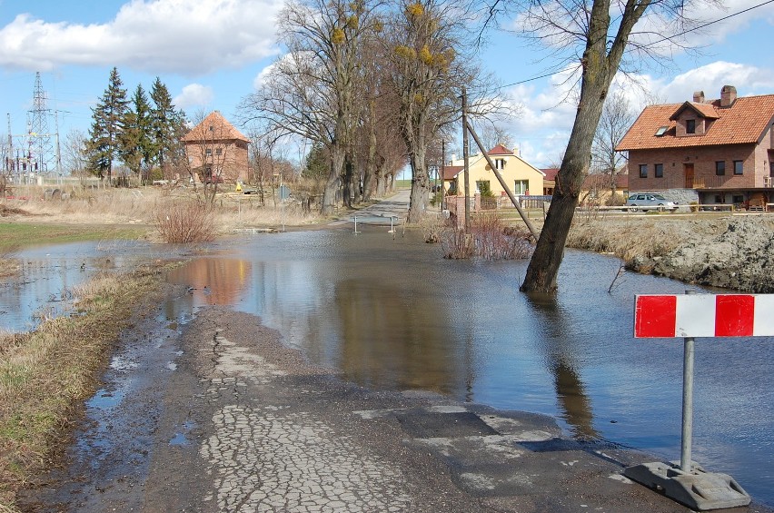 Kochanowskiego znów zamknięta!