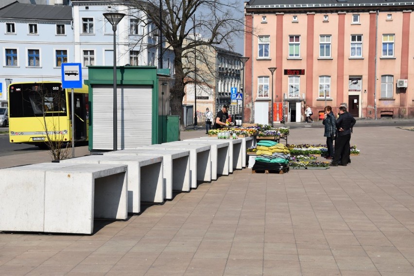 Sobota w Gnieźnie: brak tłumów na ulicach, nieliczni spacerowicze w parkach 