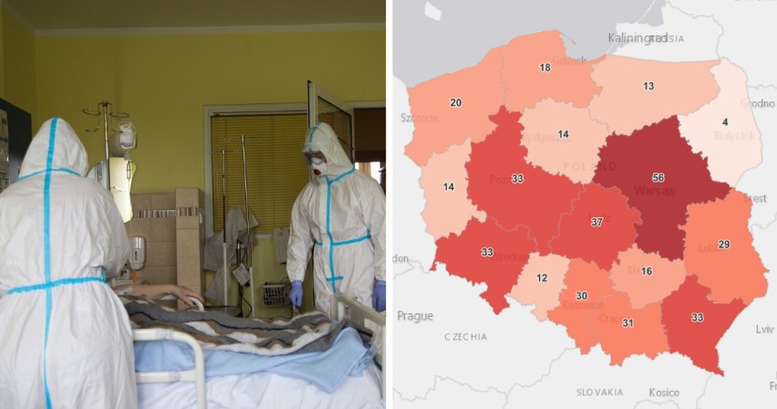400 nowych przypadków koronawirusa w Polsce, 30 w woj....