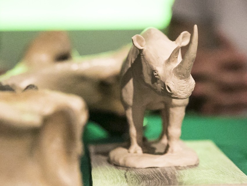 Szkielet gorzowskiego nosorożca ma około 125 tys. lat.