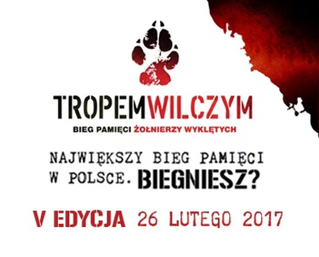 Tropem wilczym po parku Wrocławskim