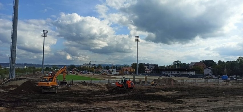 Stadion Sandecji coraz bardziej zielony. Nowa murawa już przy Kilińskiego [ZDJĘCIA]