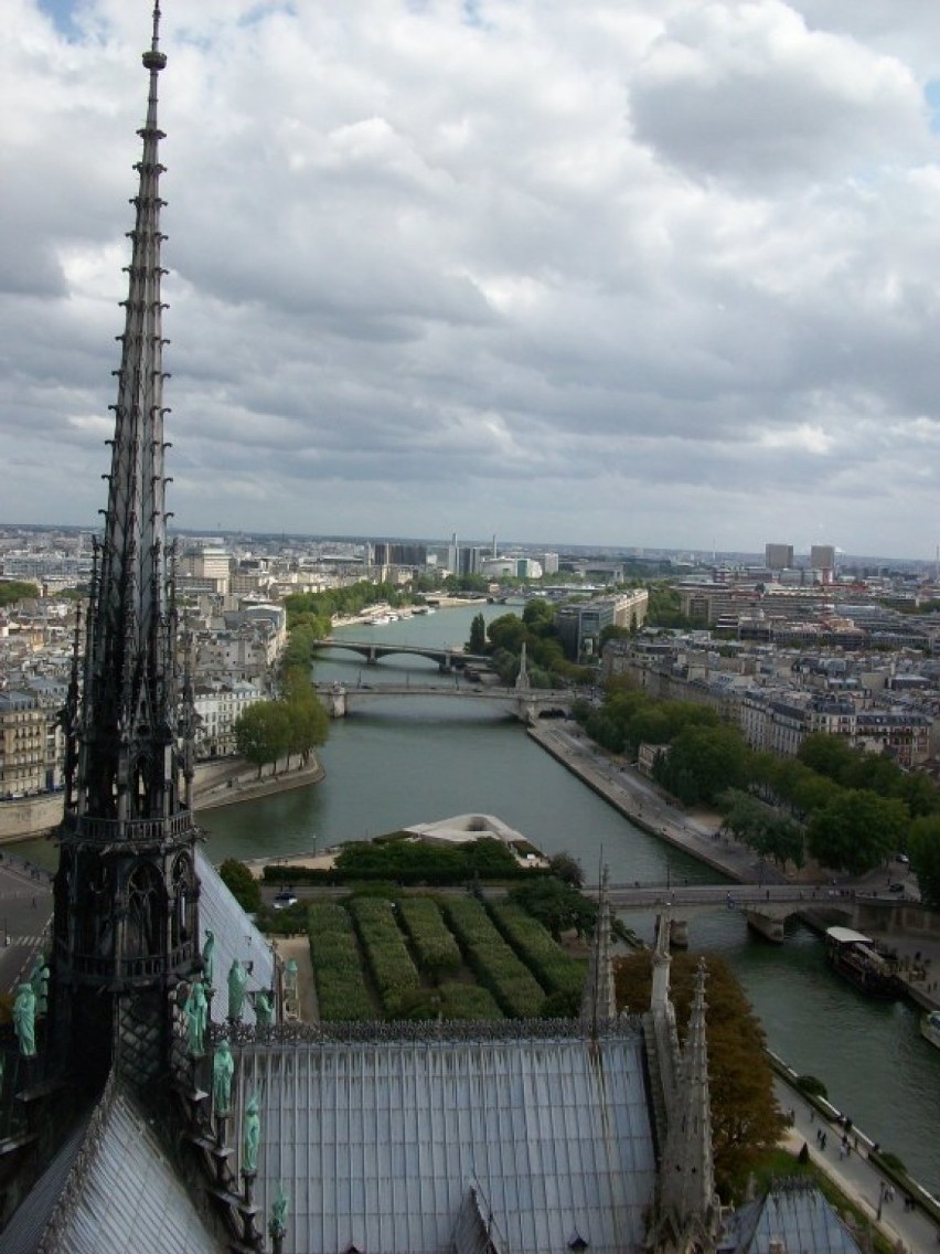 Płonie katedra Notre Dame w Paryżu. Wielki żal na całym świecie