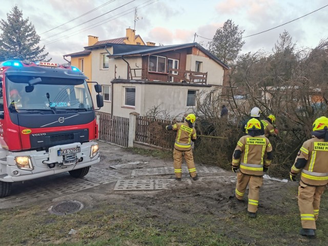 W Leźnie drzewo przewróciło się na jednej z posesji.