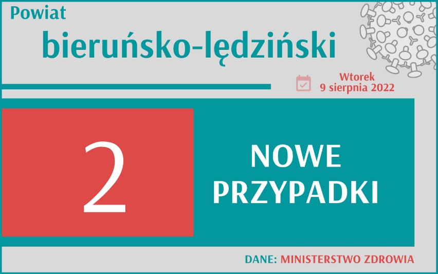 Wzrost zakażeń koronawirusem w Śląskiem - blisko 800 zachorowań jednego dnia! Przypadki zakażeń w każdym powiecie. RAPORT 9.08.2022