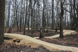 Tor rowerowy w Parku Strzelnica w Bielszowicach oddany do użytku. Singletrack liczy ponad 1,5 km długości