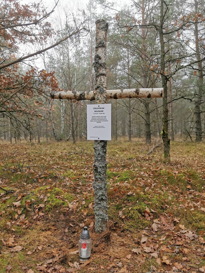 Krzyż na miejscu kaźni Bolesława Stachowiaka przy drodze...