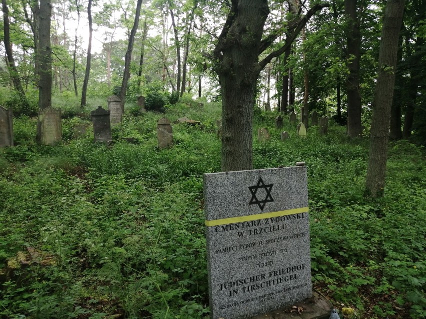 Cmentarz żydowski w Trzcielu powstał w połowie XVIII w....