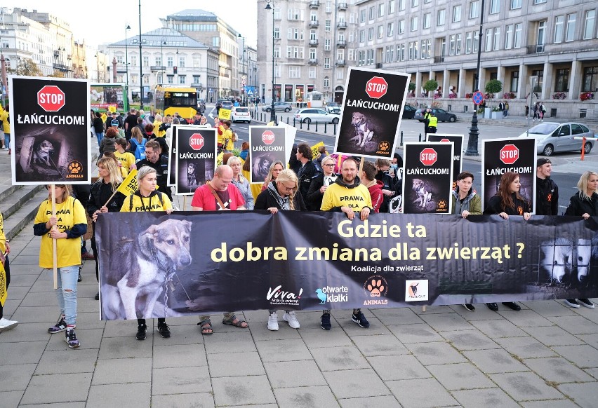 Wielki Marsz obrońców zwierząt w Warszawie. "Nie ma naszej zgody na dręczenie zwierząt" 