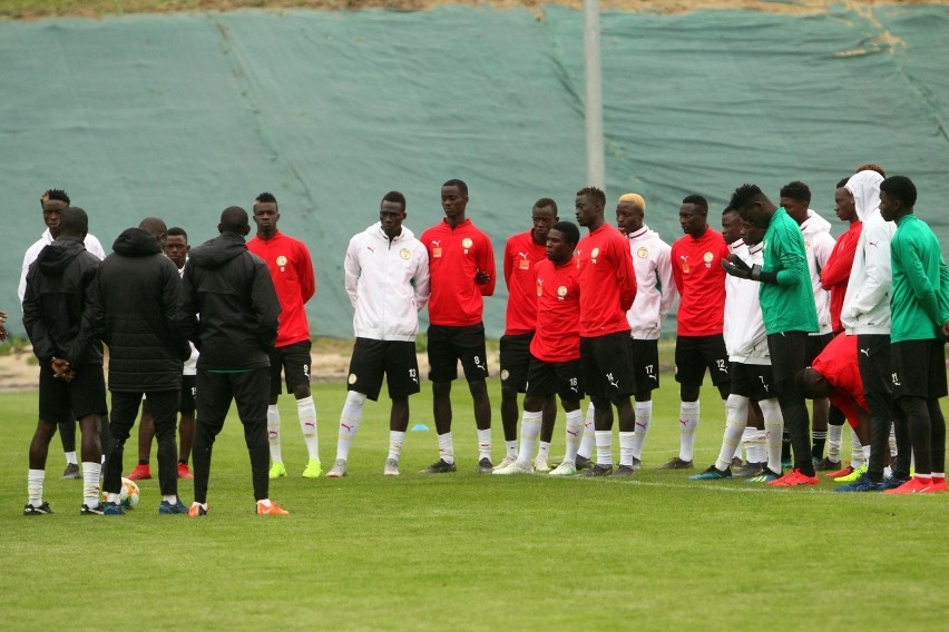 Mistrzostwa Świata do lat 20. Reprezentacja Senegalu trenowała na stadionie Lublinianki. Zobacz zdjęcia