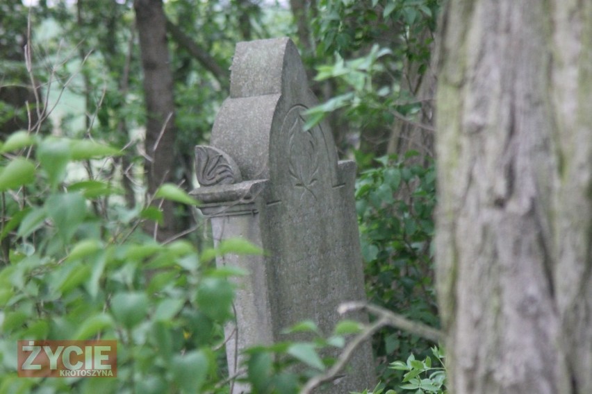 Cmentarz ewangelicki w Kolędzie na pograniczu Wielkopolski i Dolnego Śląska 