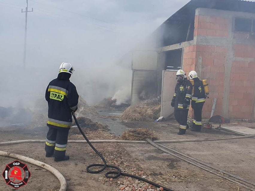 Pożar w Dębówku Starym