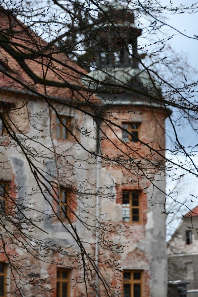 Zamek w Broniszowie wczesną wiosną