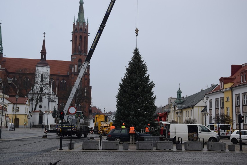 Na Rynku Kościuszki pojawiła się już świąteczna choinka. Lampki zapali na niej sam Święty Mikołaj (zdjęcia)