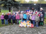 Przedszkolaki z Dobryszyc odwiedziły schronisko dla zwierząt w Radomsku [ZDJĘCIA]