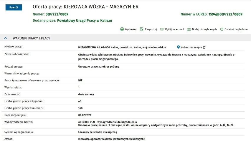 Oferty pracy w Kaliszu i powiecie kaliskim. Ile można zarobić? 