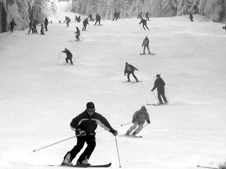 Piękna pogoda przyciągnęła wczoraj do Szczyrku bardzo dużo narciarzy.  /  JACEK ROJKOWSKI