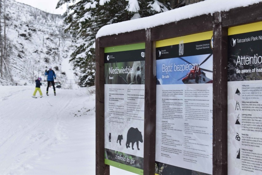 Tatry. Miejscowi spędzają niedzielę na nartach. To jednak garstka ludzi  