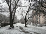 Powrót zimy w Zielonej Górze. W parę chwil ulice i chodniki miasta znów zrobiły się białe! Służby porządkowe ruszyły do odśnieżania